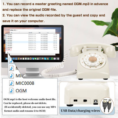 Speciale momenten USB-telefoon Gastenboek Voor bruiloft Audio Telefoon Gastenboek Huur Wit