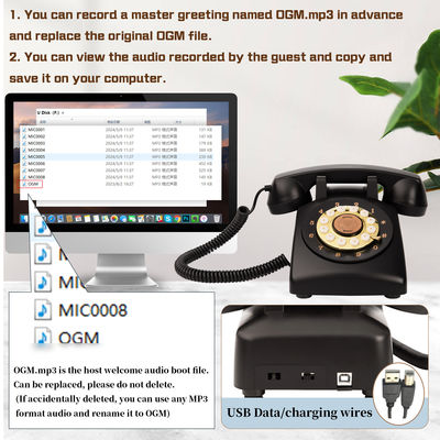 Viering Audio Gastenboek 32 GB Bruiloft Voicemail Gastenboek Onvergetelijk Moment